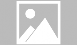 后宫争宠的电视剧,权谋与爱恨的宫廷角逐