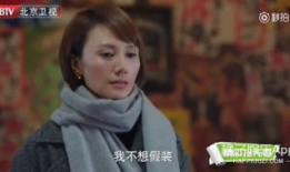 罗子君什么电视剧,从家庭主妇到职场女王的逆袭之路